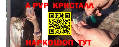 СК Моздок