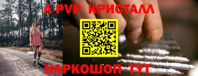 СК Моздок