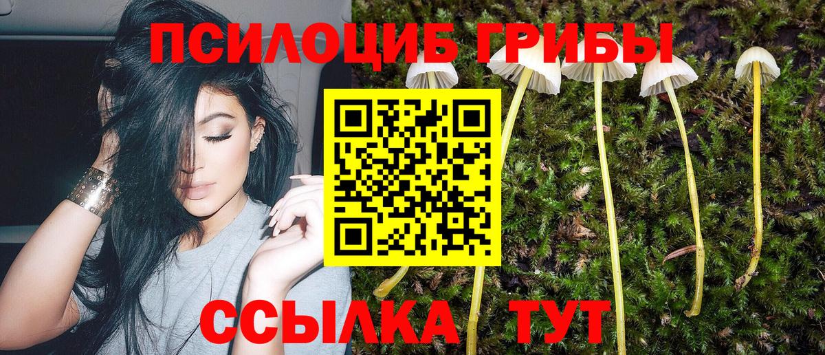 Торжок  купить   Вход с VPN  Псилоцибиновые грибы GOLDEN TEACHER 