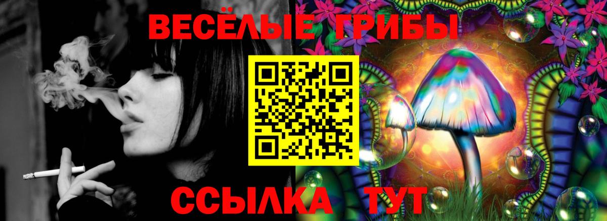 Галлюциногенные грибы мицелий Торжок