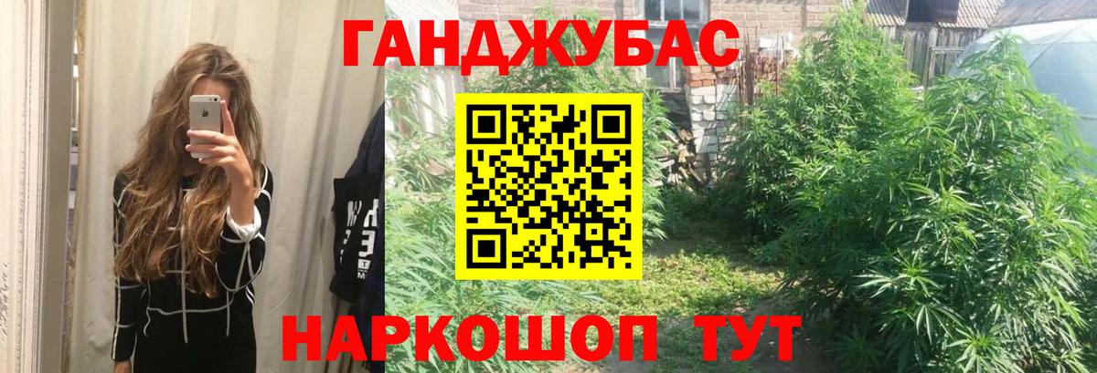 Каннабис Bruce Banner  Марихуана гибрид  Каннабис ГИДРОПОН  Торжок  Вход с VPN 